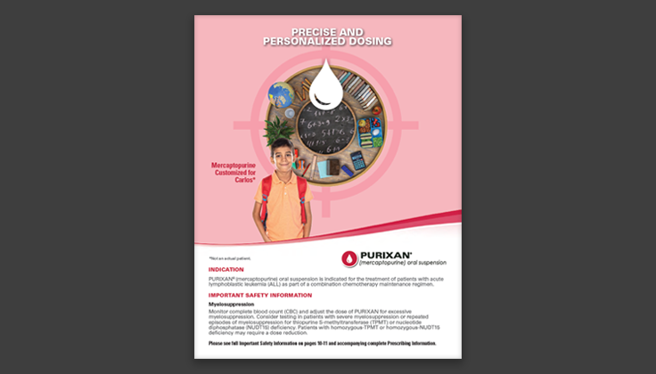 PURIXAN Brochure